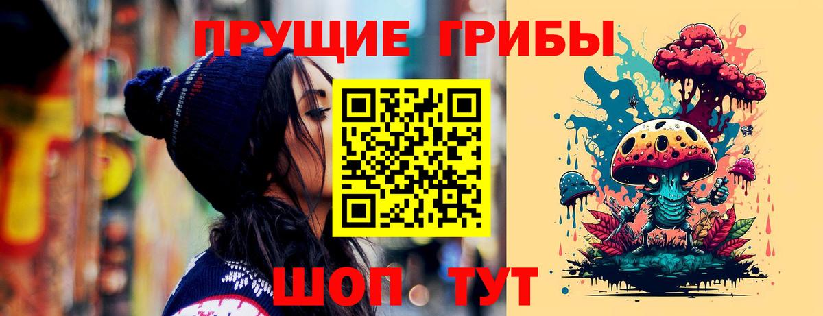 Псилоцибиновые грибы Cubensis Клин